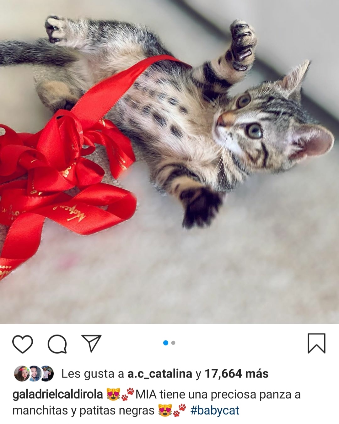 Créditos: Instagram @galadrielcaldirola