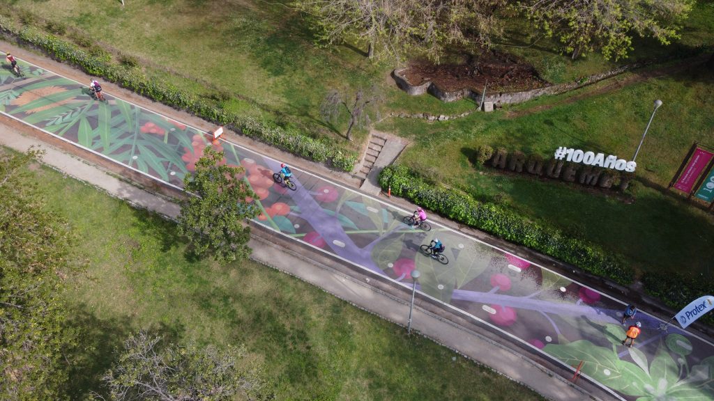 region metropolitana