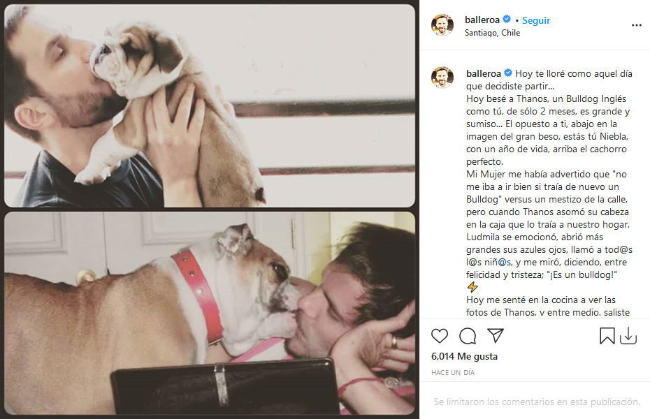 alvaro ballero perro