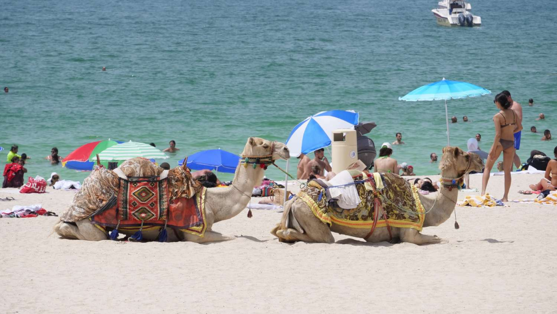 &quot;Siempre hay un chileno&quot; vuelve a Canal 13: Retransmitirán primera temporada