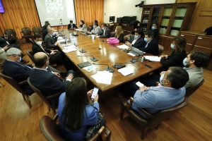 La comisión de Constitución de la Cámara Baja aprobó un segundo retiro del 10%