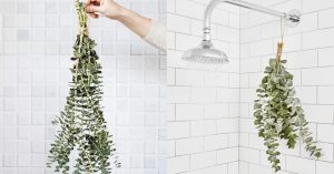 Baño de eucalipto: Cómo hacerlo y cuáles son sus beneficios