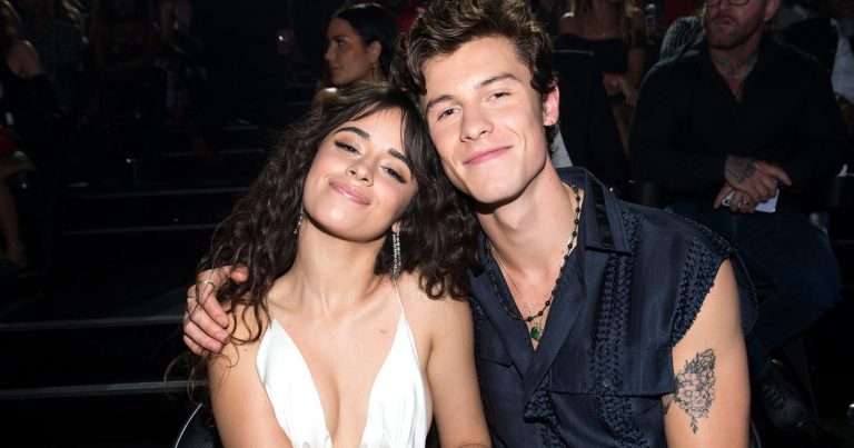 ¡Camila Cabello y Shawn Mendes dieron un importante paso en su relación!