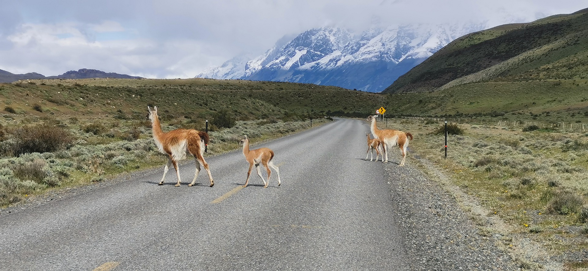 Parque Nacional Torres del Paine