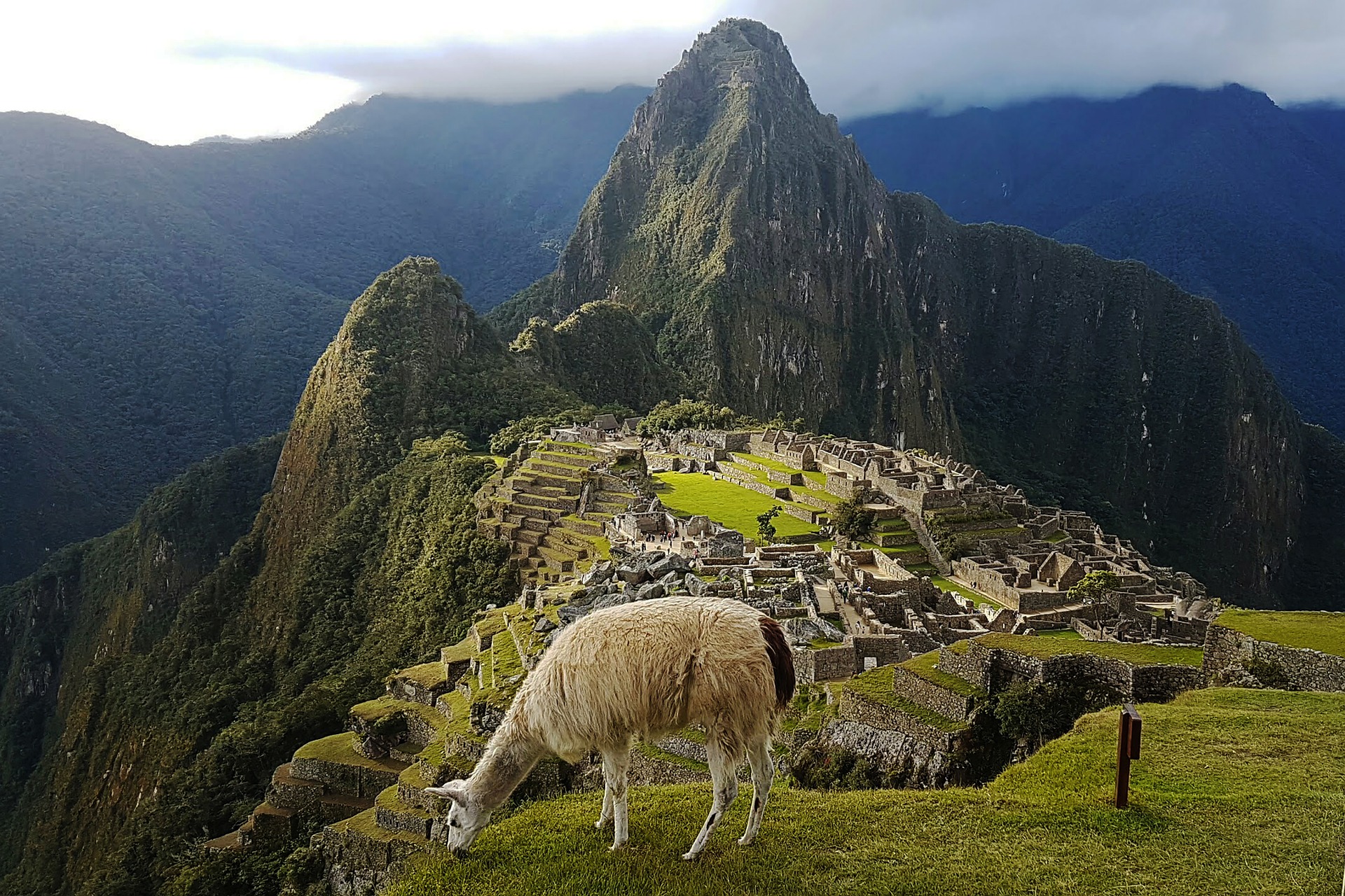 Machu Picchu