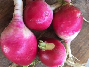 Descubre los beneficios del rábano y cómo incorporarlo a tus comidas