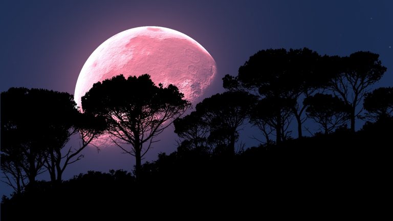 Eclipse Lunar Penumbral o luna de fresa