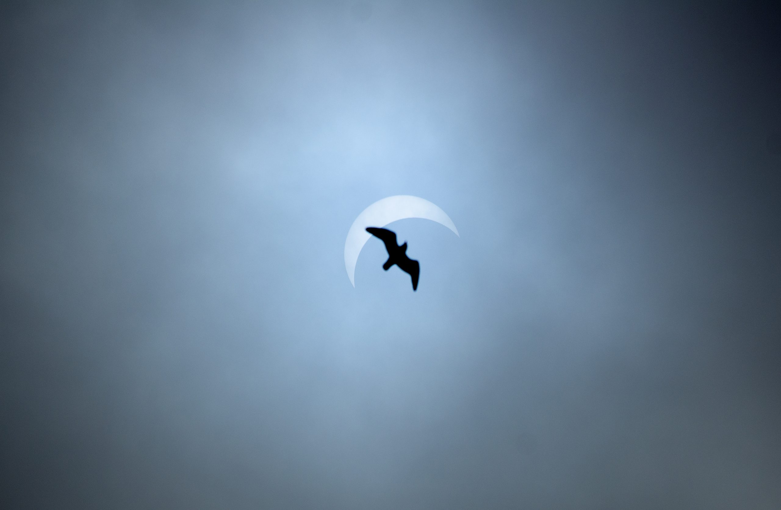 como afecta el eclipse a los signos zodiacales