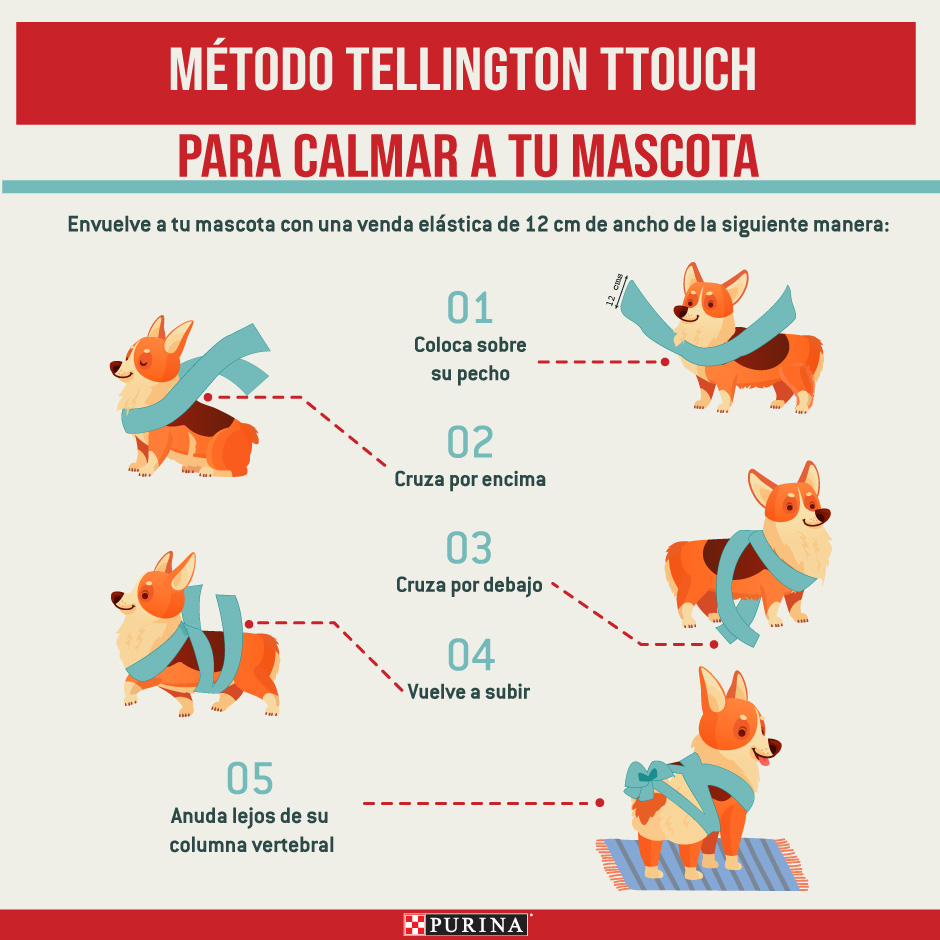 método tellington para tranquilizar a mascotas por pirotecnia