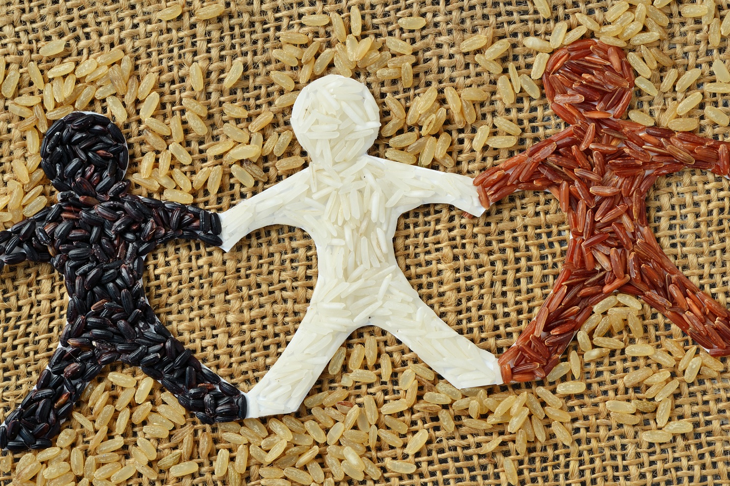 Campaña de ayuda humanitaria para Colchane: ¡Así puedes colaborar!