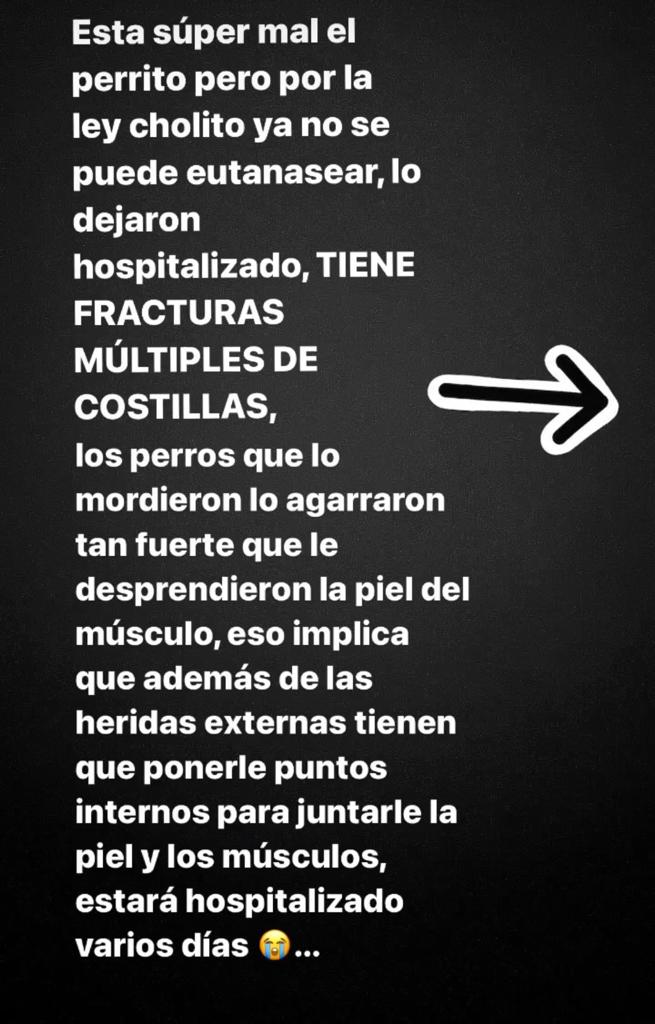 Catalina Castelblanco Instagram