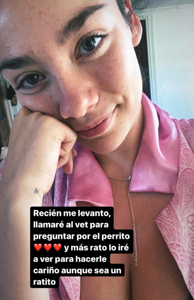 Cota Castelblanco Mensaje Por Perrito