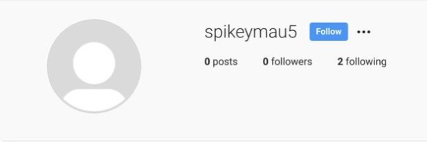 cuentas secretas de famosos 