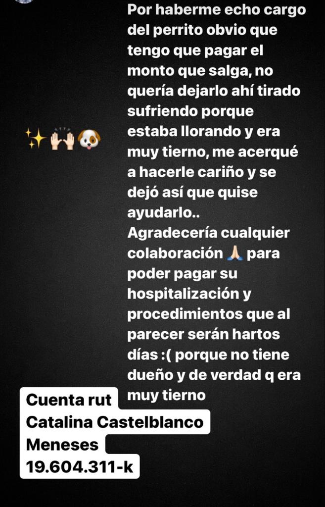 Relato Catalina Castelblanco Instagram