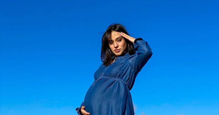 Rocío Toscano aclaró por qué tendrá a sus mellizos en Estados Unidos y no en Chile