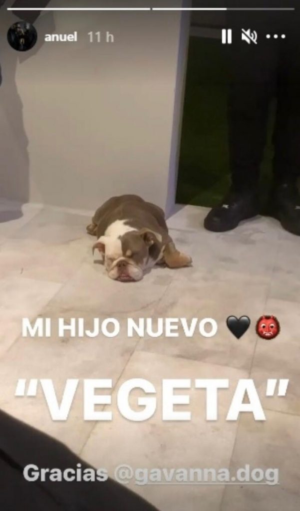Anuel AA compartió su nueva compañía luego de su quiebre amoroso con Karol G 