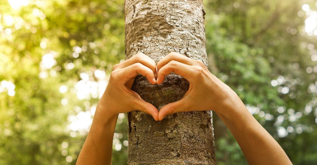 Cuidado Del Medio Ambiente