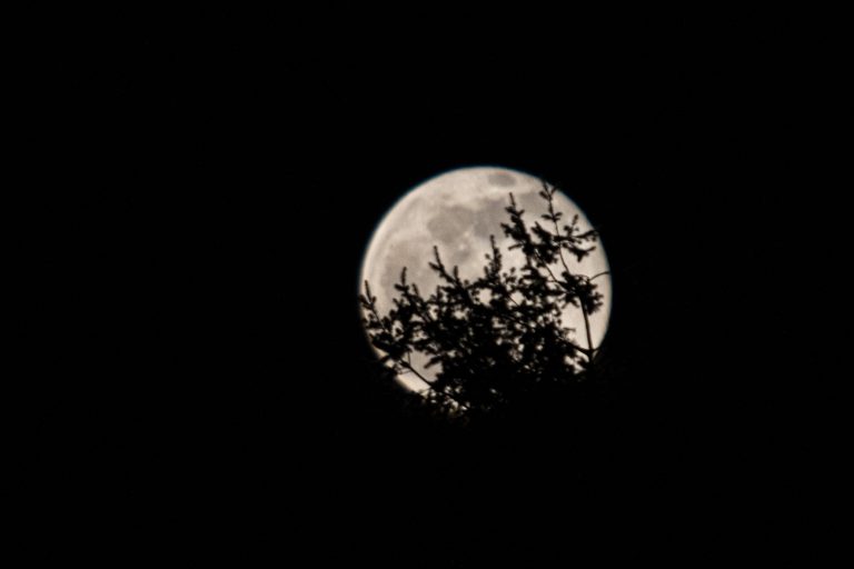 Horóscopo: Los cambios que trae la luna menguante a los signos