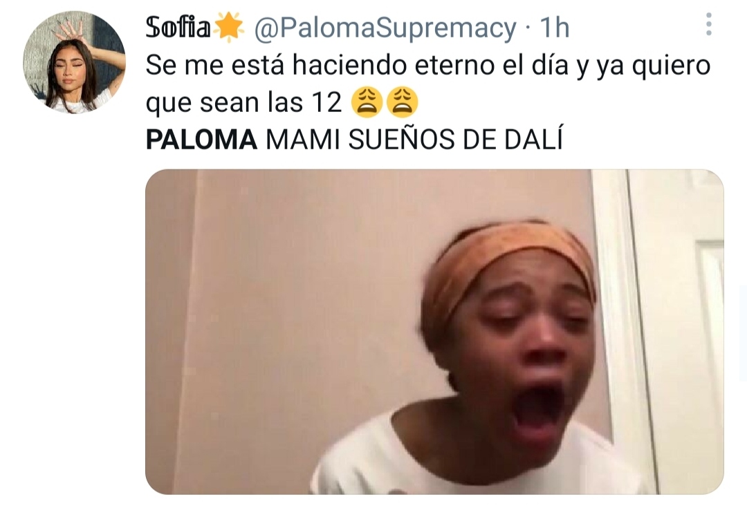 Fans ansiosos ante lanzamiento de Paloma Mami.