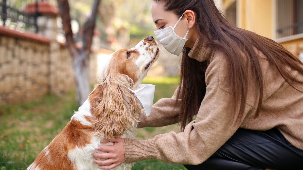 La variante británica de Coronavirus que afecta a perros y gatos