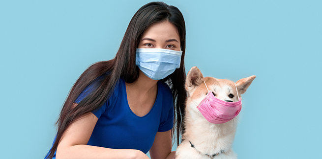 Variante-británica-covid-mascotas