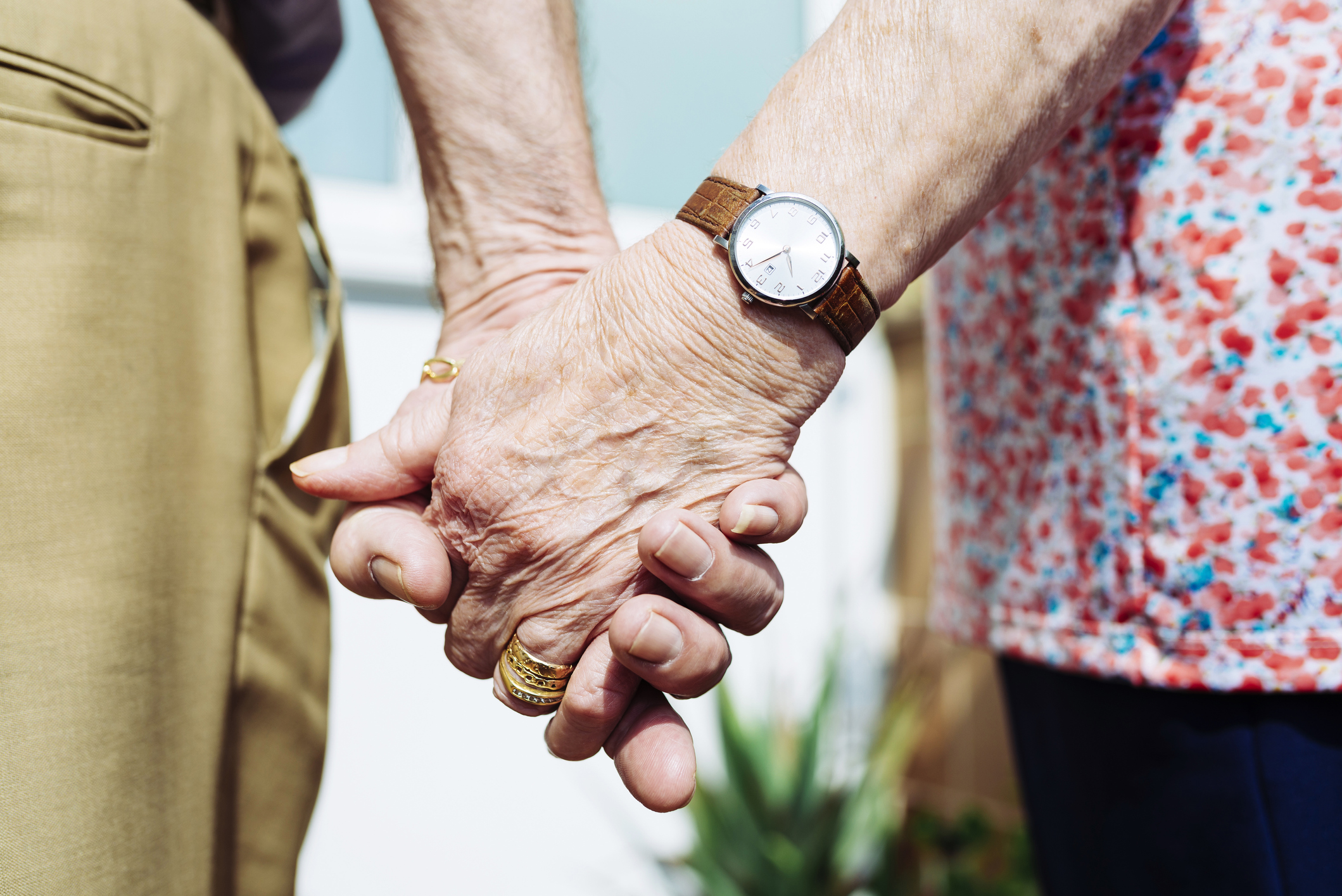 Back View Of Senior Couple Holding Hands, Close Up