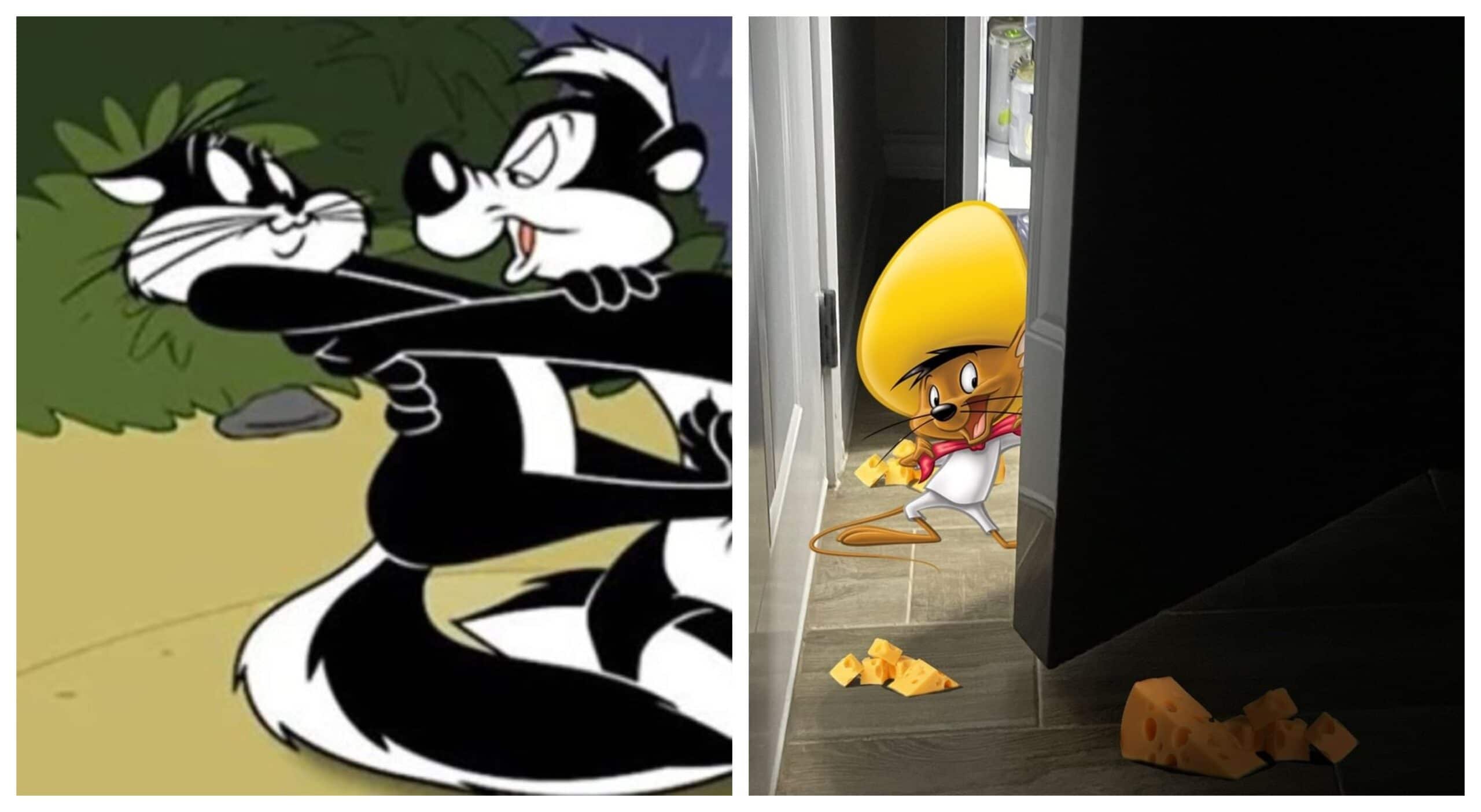 Pepe Le Pew y Speedy Gonzáles: Cancelados por actitudes sexistas y violentas