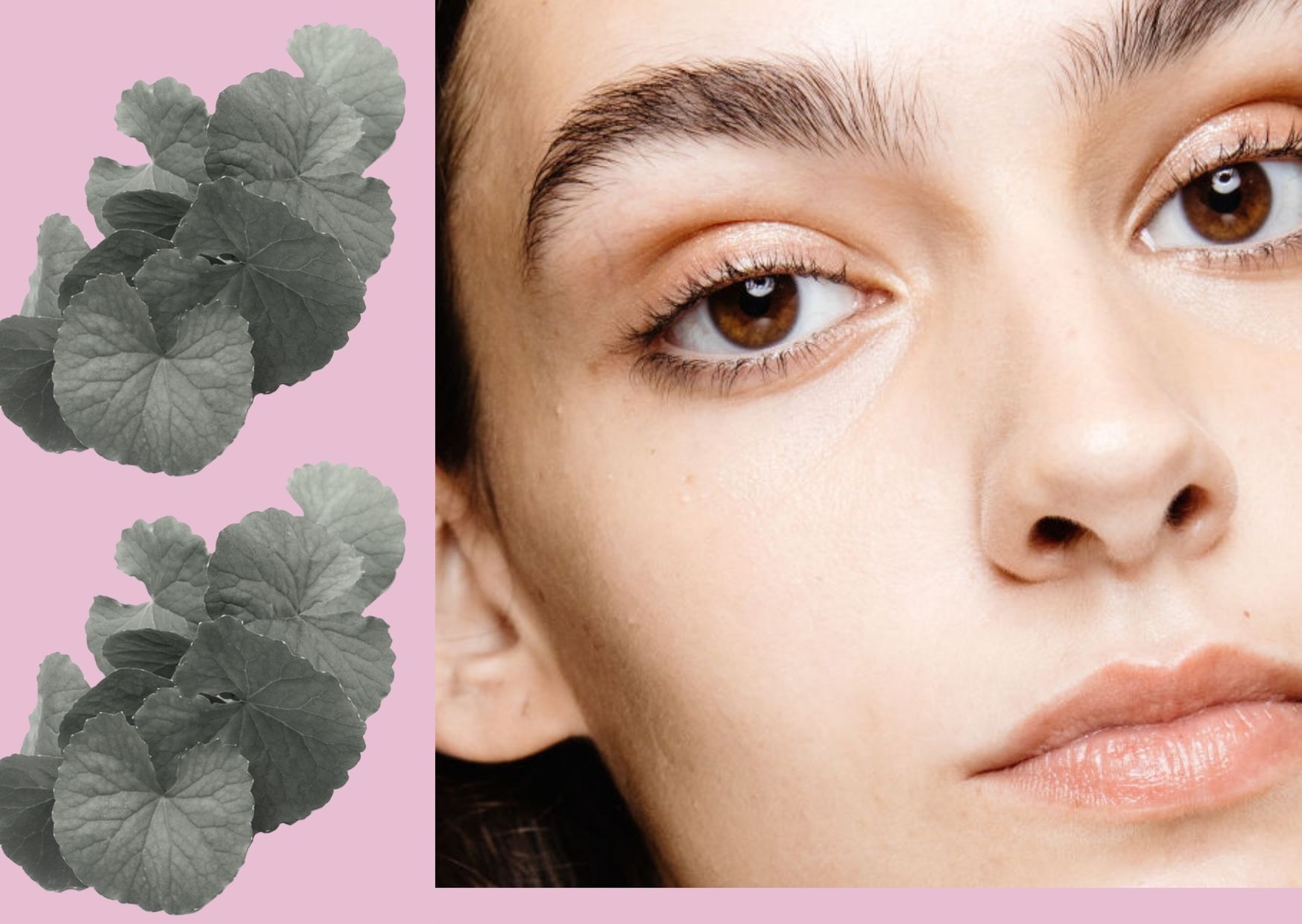 Las cremas 'cica' o con centella asiática: ¿Para qué sirven y cómo usarlas?