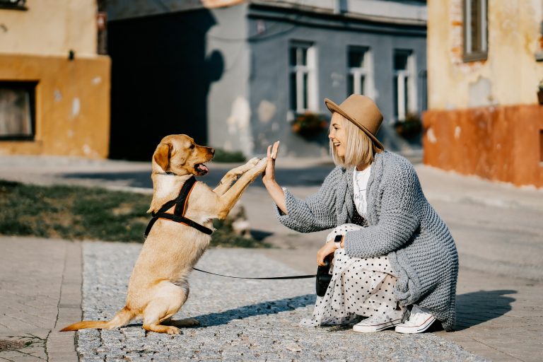 ¿Cómo cuidar el bienestar de tu mascota en cuarentena? Aquí te contamos