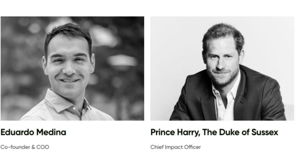 Principe Harry Nuevo Trabajo