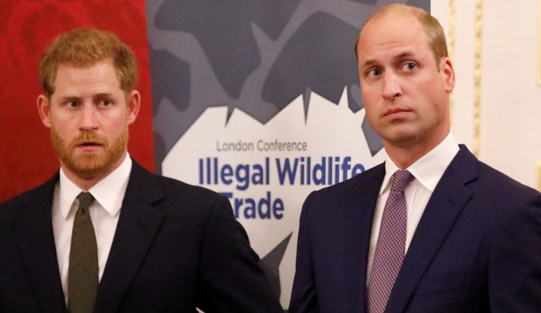 The Duke Of Cambridge Attends The 2018 Illegal Wildlife Trade Conference
