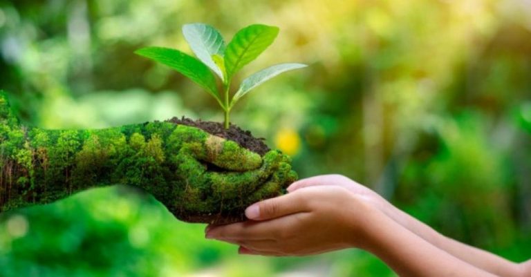 Día de la Tierra: ¿Quieres hacer tu propio compostaje en casa? Aquí te contamos cómo