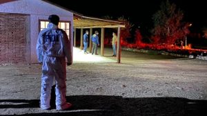 Parricidio en Punitaqui: Niño de 7 años era adoptado