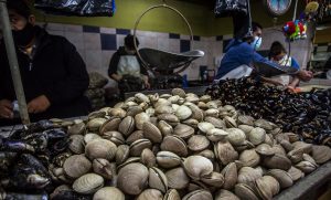 Caleta en Línea: La plataforma que ayuda dónde comprar pescados y mariscos