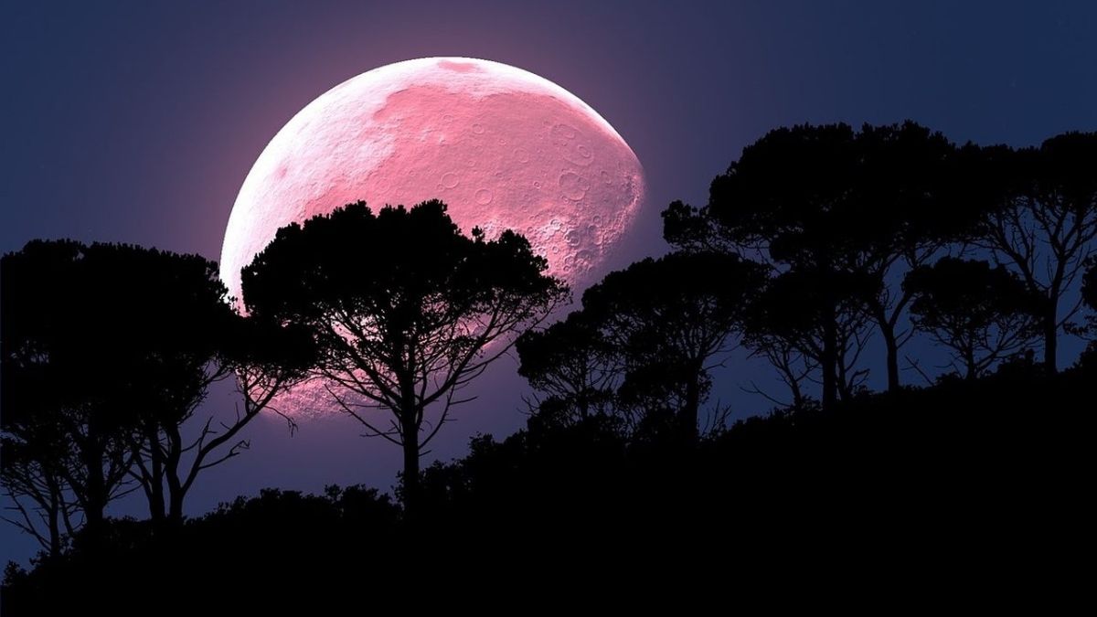 ¡Prepárate para disfrutar la Superluna Rosa! Un evento imperdible