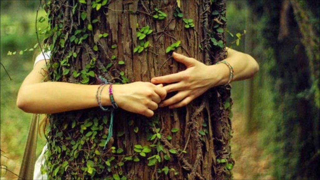 Ecoterapia: Un tratamiento natural para prevenir el desgaste físico y mental