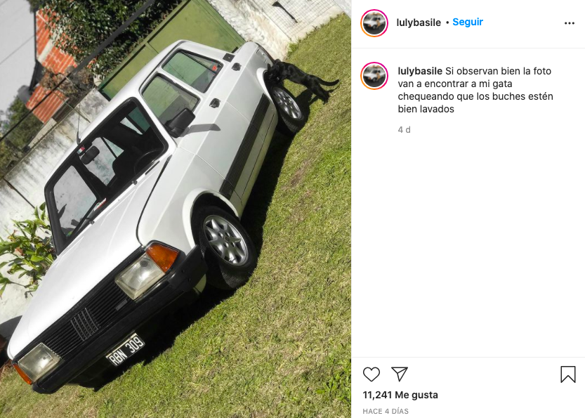 Chica Argentina Auto