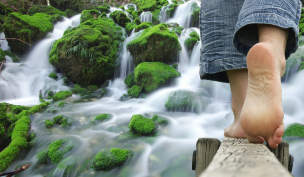 Ecoterapia: Un tratamiento natural para prevenir el desgaste físico y mental