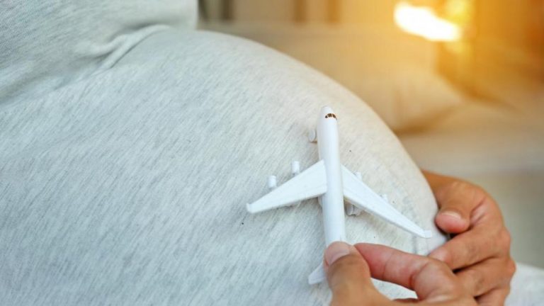 Embarazada En Avión