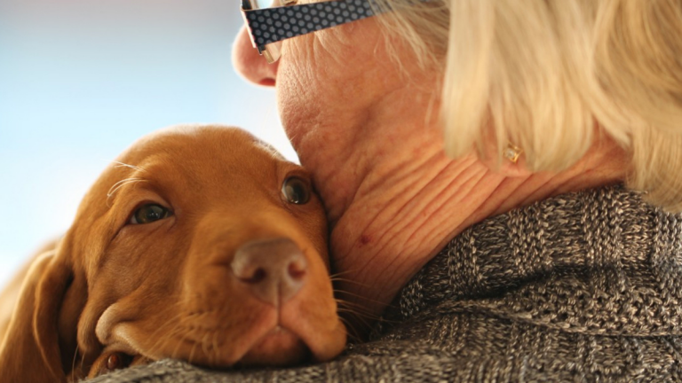 Adoptar Cachorros