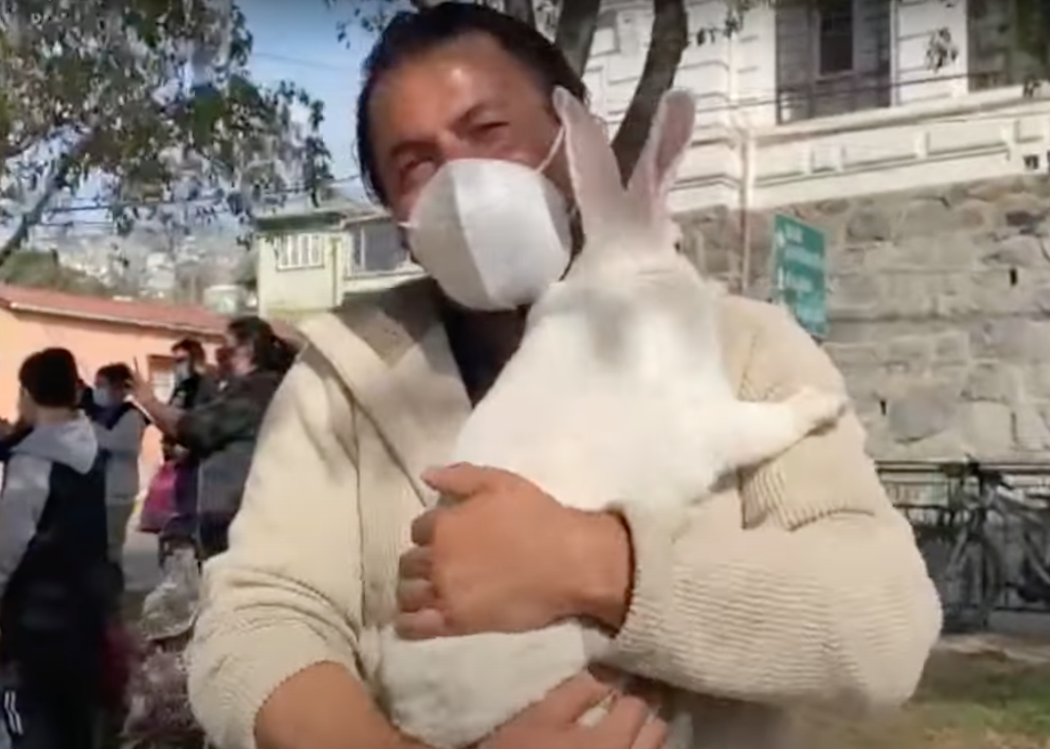 Fue A Votar Con Su Conejo