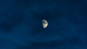 Horóscopo: Semana ideal para creer en la fantasía