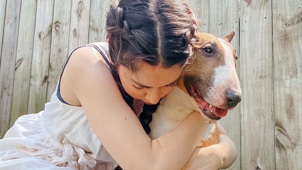 La polémica de la youtuber que sacrificó a su perro "sin necesidad"