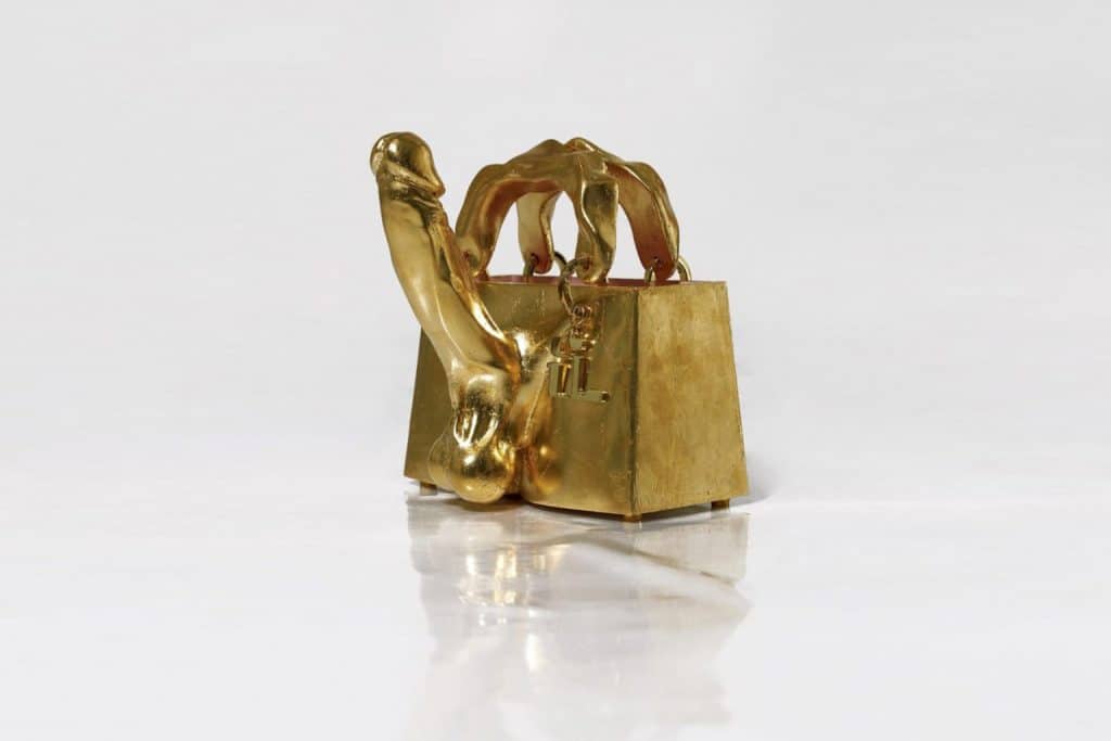 Stef Van Looveren_bolso