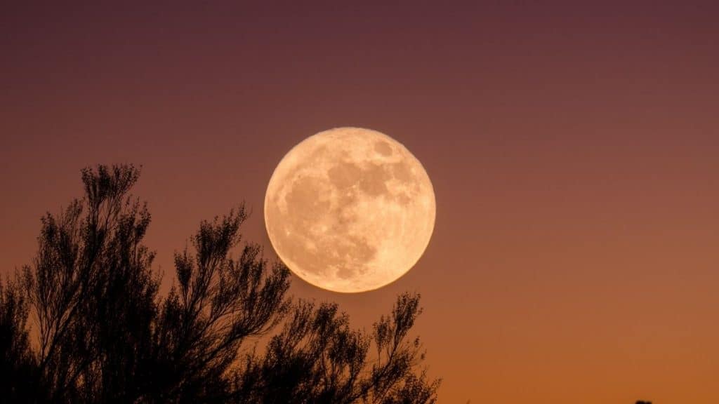 Superluna De Fresa ¿Cuándo Y Dónde Ver El Fenómeno Astronómico?