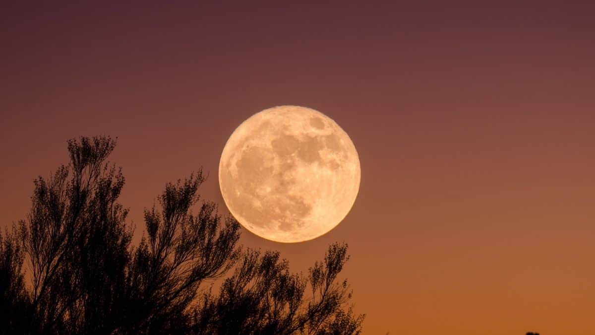 Superluna de Fresa ¿Cuándo y dónde ver el fenómeno astronómico en Chile?
