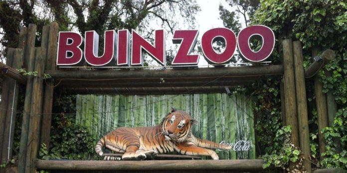 Buinzoo