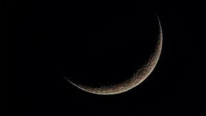 Horóscopo: Tiempo para actuar con serenidad y paciencia