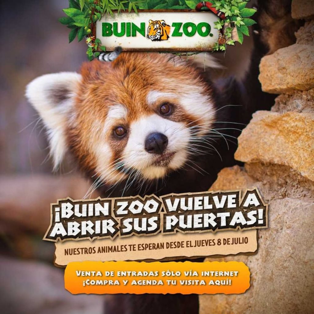 Créditos Instagram Buin Zoo