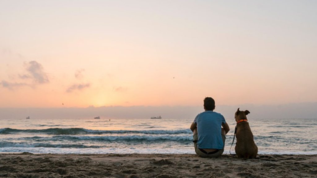 Día Mundial Del Perro